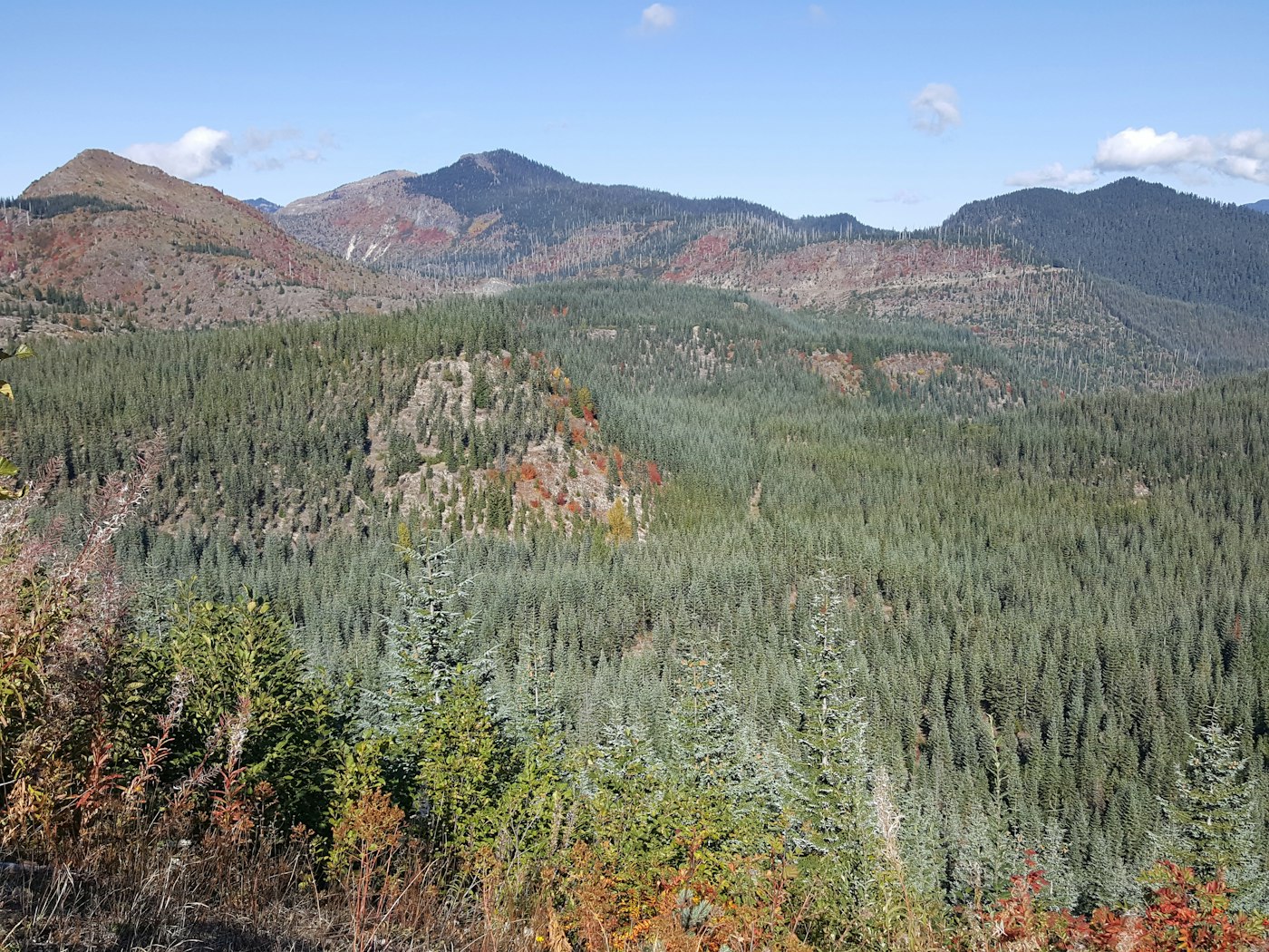 Pacific Northwest landscape illustrating why creative districts matter for communities